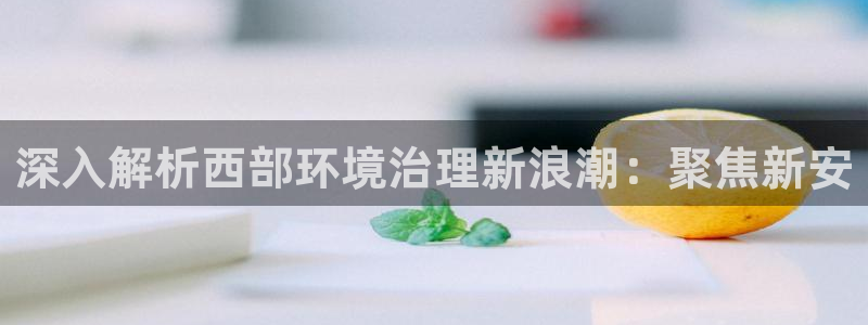 凯发网娱乐官网登录