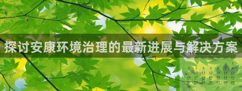 凯发k8全球最大的娱乐平台|探讨安康环境治理的最新进展与解决方案