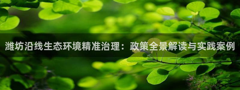 凯发k8国际首页登录|潍坊沿线生态环境精准治理：政策全景解读与实践案例